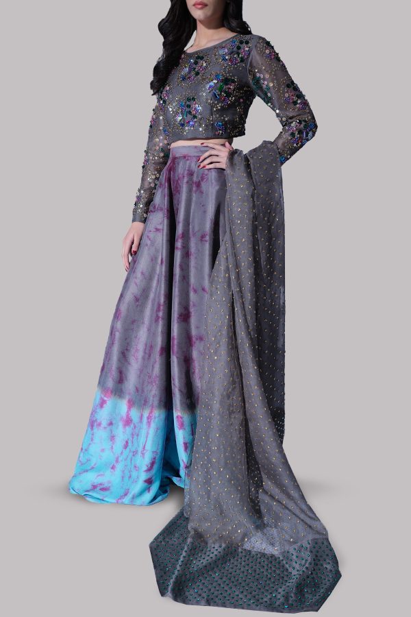 Steeple Grey and Blue Radiance Embellished Skirt Set - Image 2