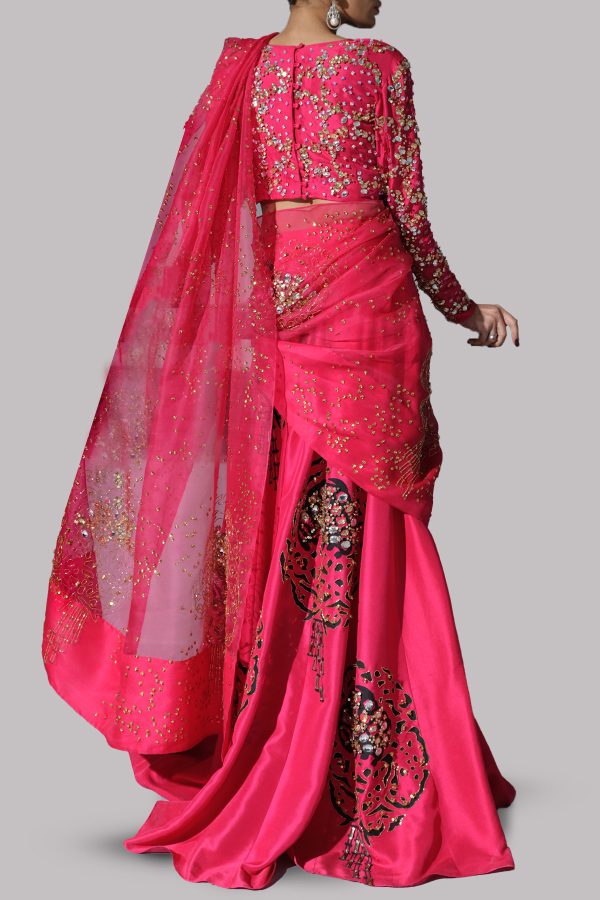 Rose Red Embellished Skirt Set - Image 2