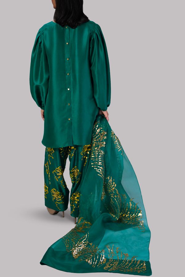 Galapagos Green Embellished Raw Silk Set - Image 3
