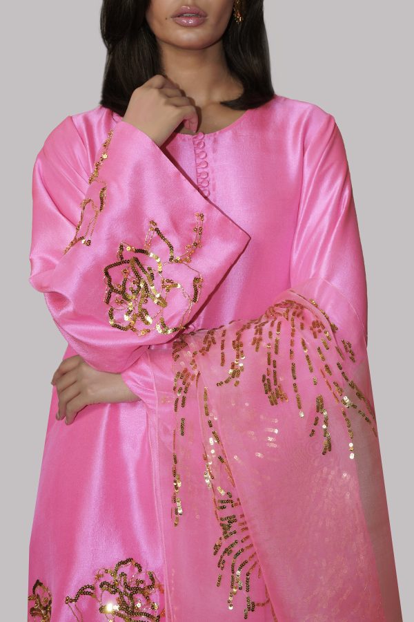 Carnation Pink Embellished Raw Silk Set - Image 4