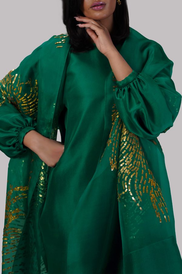Galapagos Green Embellished Raw Silk Set - Image 4