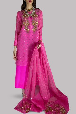 Azalea and Diva Pink Embellished Organza Set