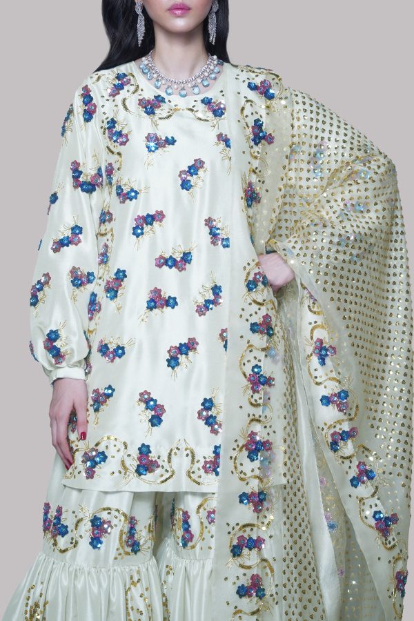 Egret Embellished Raw Silk Gharara Set - Image 4