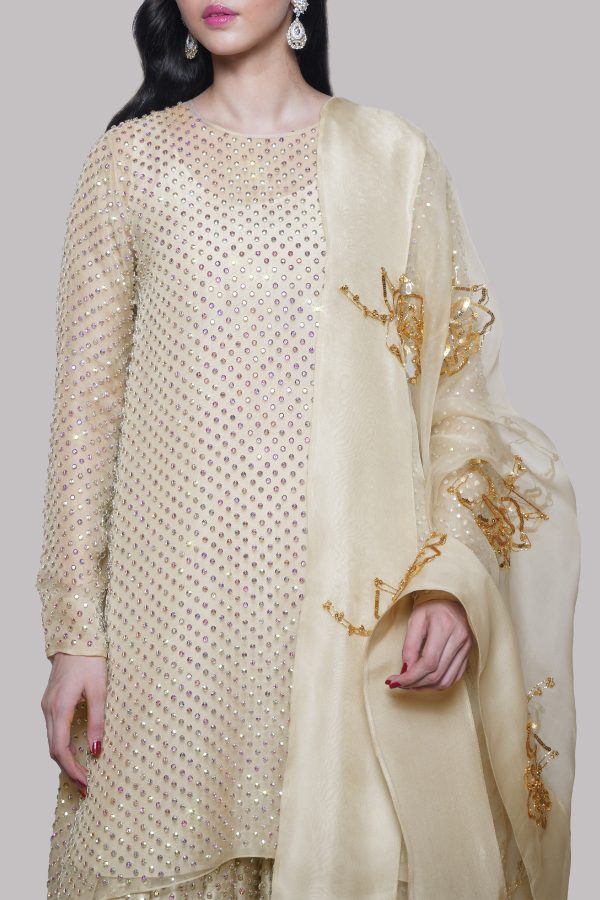 White Swan Embellished Organza Set - Image 4