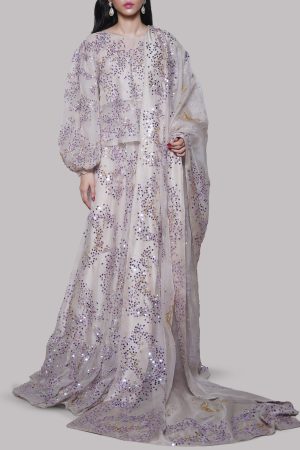 Silver Grey Embellished Organza Skirt Set