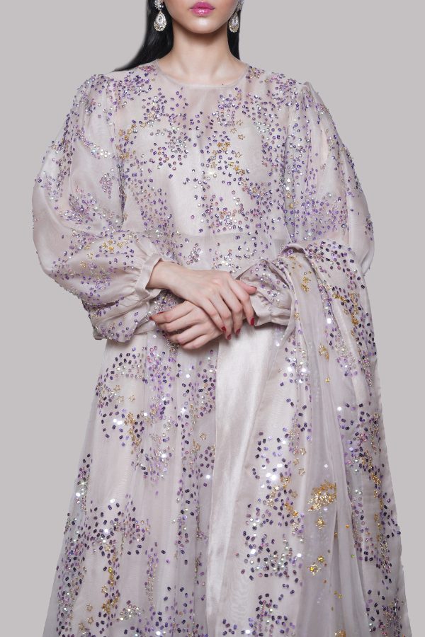 Silver Grey Embellished Organza Skirt Set - Image 4