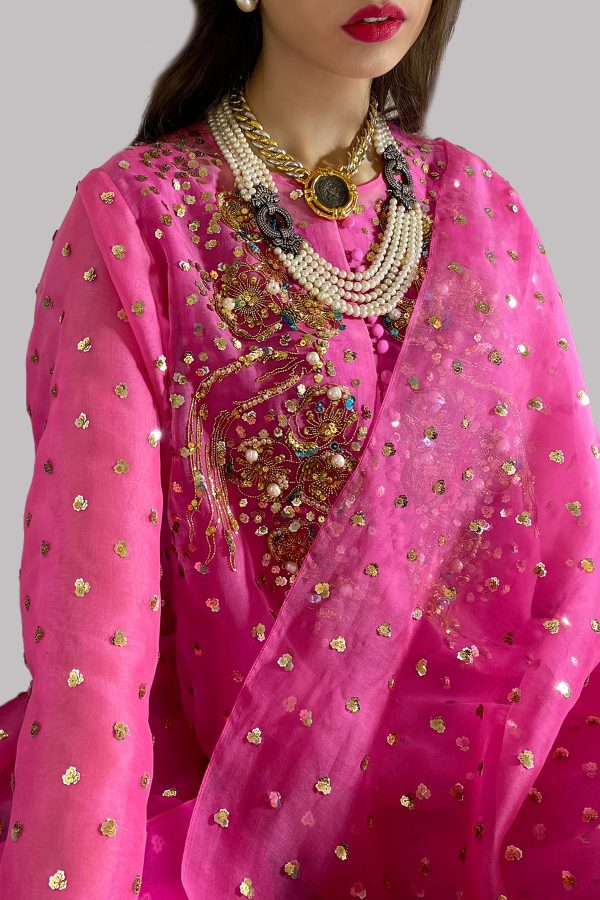 Azalea and Diva Pink Embellished Organza Set - Image 2