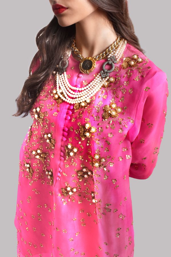 Diva Pink Embellished Organza Set - Image 2