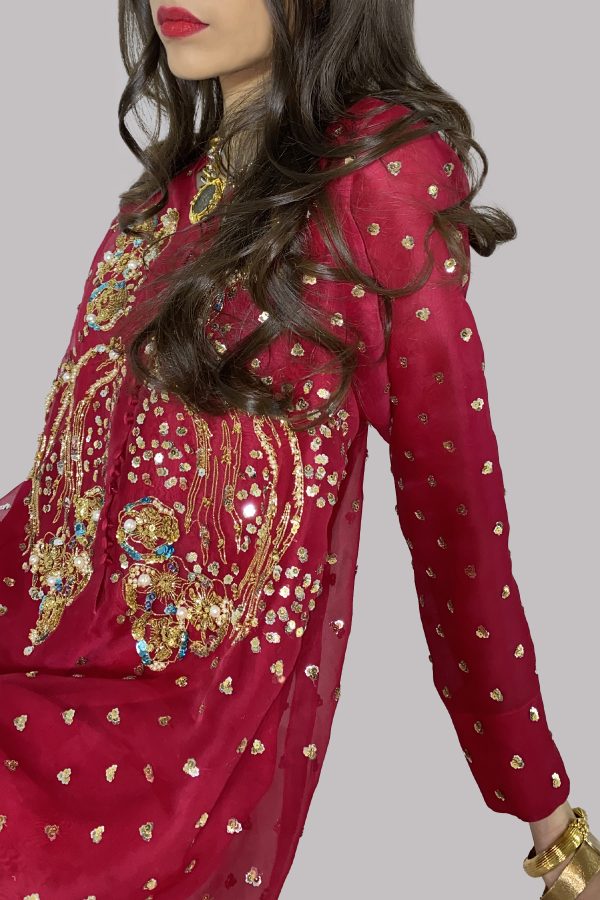 Tango Red Embellished Organza Set - Image 2