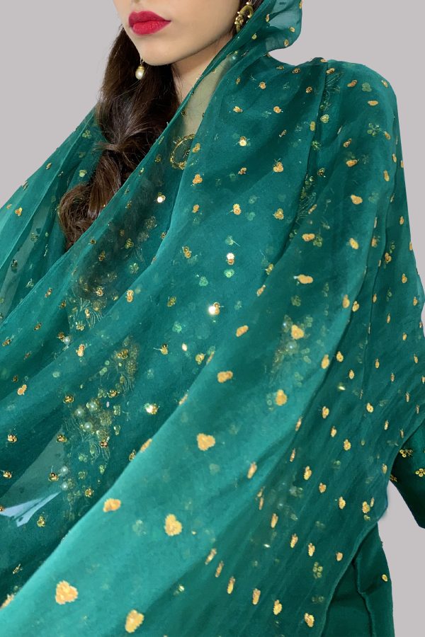 Evergreen Embellished Raw Silk Set - Image 3