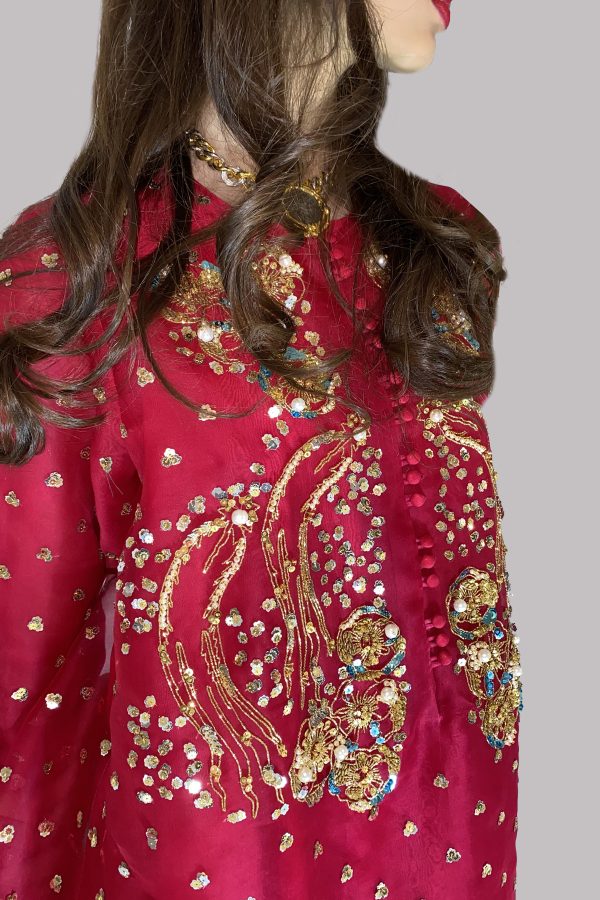 Tango Red Embellished Organza Set - Image 3