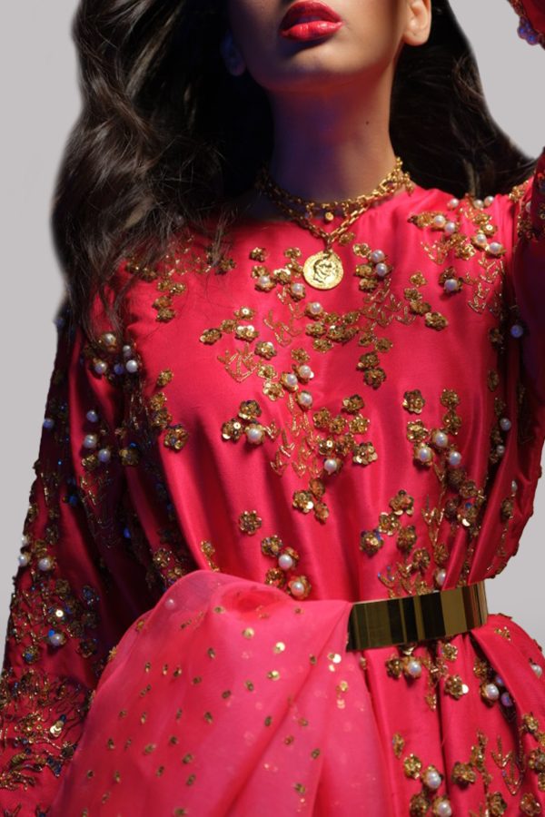 Lollipop Red Embellished Raw Silk Maxi Set - Image 4