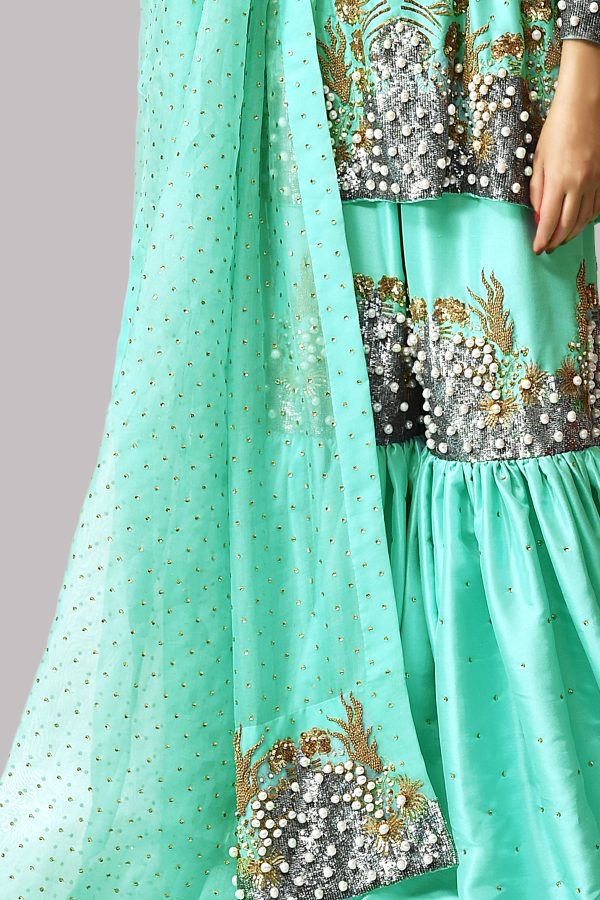 Leisure Time Embellished Gharara Set - Image 3