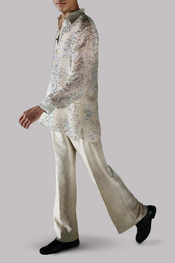 White Swan Embellished Organza Set - Image 2
