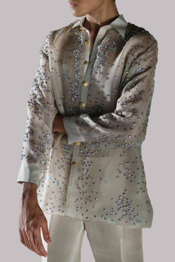White Swan Embellished Organza Set - Image 3