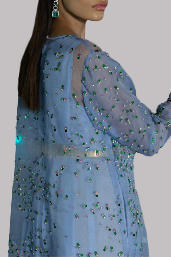 Blue Bell Embellished Organza Maxi - Image 4